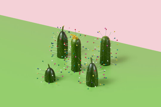 Cucumbers transformed into Christmas trees with colorful pins