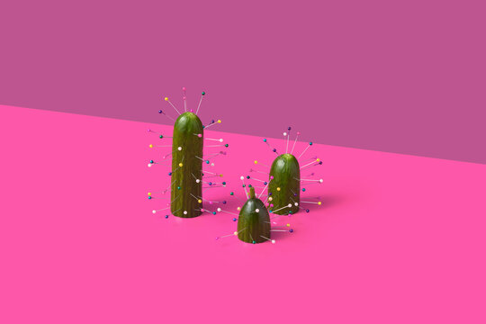 Festive arrangement of cucumbers decorated with sewing pins in studio