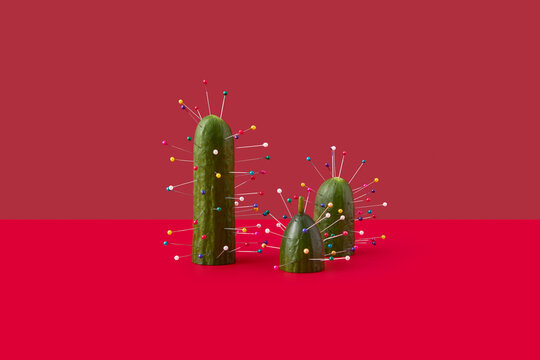 Holiday composition with cucumbers transformed into Christmas trees