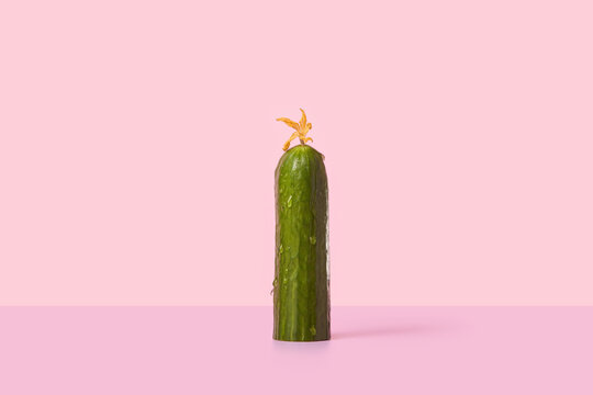 Wet cucumber with dried flower on top over pink background