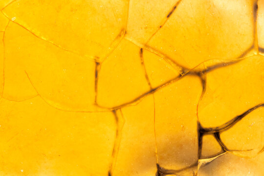 Light Brown Dragon Veins Agate Closeup  