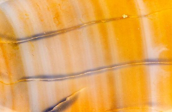 Light Brown Dragon Veins Agate Lines  