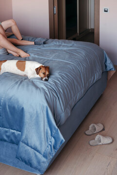 Cozy Morning With a Sleepy Dog and Relaxed Feet