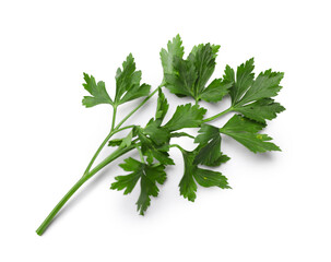 Sprig of fresh parsley isolated on white, top view