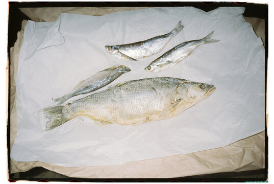 Traditional holiday dry salted fish over Paper