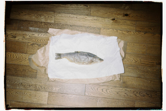 Fresh Whole Salted Fish over Paper Sheet 