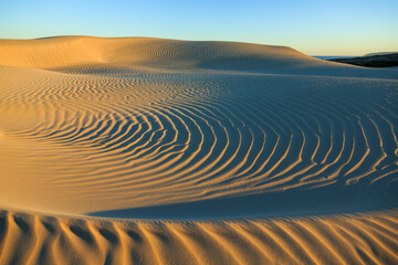 Sand Dune in Lincoln National Park.