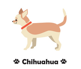 チワワ、　フラットデザイン、横向きの犬のシンプルなイラスト