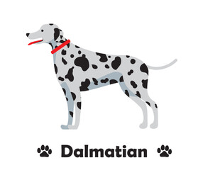 ダルメシアン、　フラットデザイン、横向きの犬のシンプルなイラスト