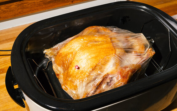 Freshly roasted turkey in oven bag inside countertop roaster oven 