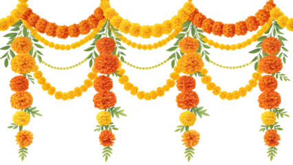 marigold flowers on white background