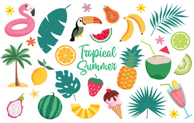 Tropical summer elements clipart set. Summer fruits and graphic elements clip art drawing like palm leaves, pineapple, coconut, kiwi and watermelon collection. 
