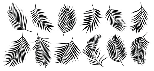 Palm leaves silhouette clipart set. Palm and coconut black leaf clip art icon elements in white background vector illustration.   © AmazeinDesign