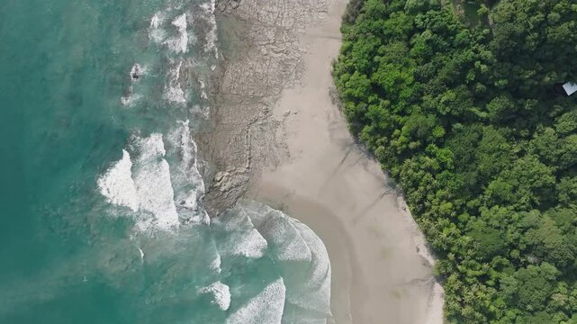 Aerial ascent over pristine tropical beach where turquoise waves crash against sandy shore, bordered by lush green forest. Bird's-eye perspective, intersection of sea, sand and jungle.