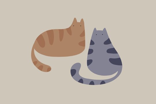 Ginger and gray cat