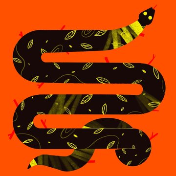 Black snake