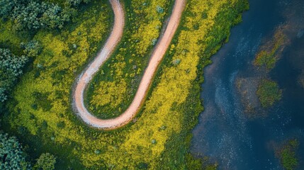 Inviting River Trails at Golden Hour Lighting