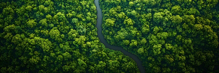 Fototapeta premium Aerial View of Lush Green Forest with Winding River Showcasing Natural Beauty and Conservation