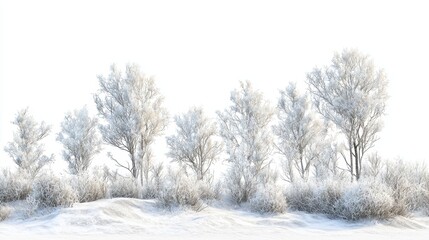 Fototapeta premium Serene Winter Landscape Featuring Frosted Trees and Snowy Ground in Soft Natural Light