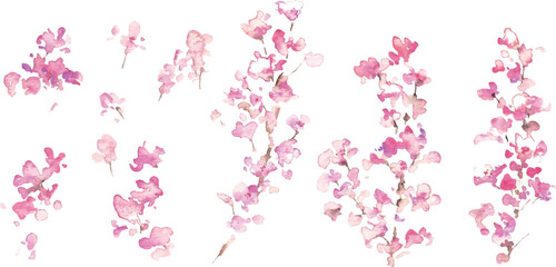 水彩画。水彩タッチのの春の桜ベクターイラスト。桜の満開背景フレーム。Watercolor painting. Spring cherry blossoms vector illustration with watercolor touch. Cherry blossoms in full bloom background frame. © necomammma