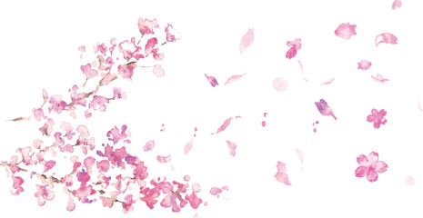 水彩画。水彩タッチのの春の桜ベクターイラスト。桜の満開背景フレーム。Watercolor painting. Spring cherry blossoms vector illustration with watercolor touch. Cherry blossoms in full bloom background frame.