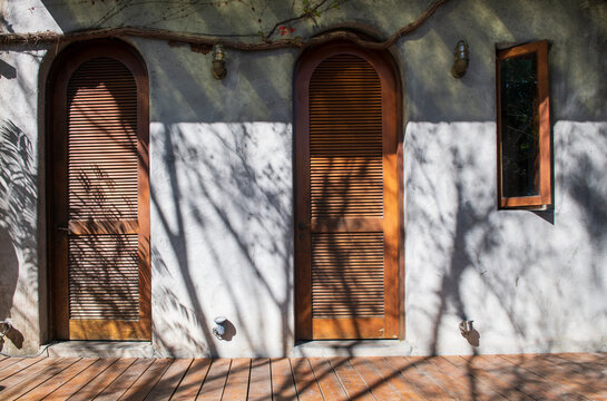 Sunlit Stucco Wall with Climbing Vines and Wooden Doors