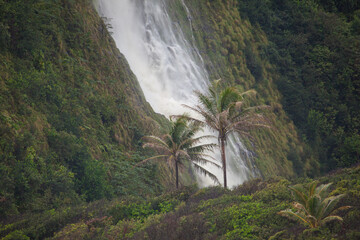 A huge waterfall cascades down the cliff behind two isolated coconut palm trees in Hawaii, landscape orientation