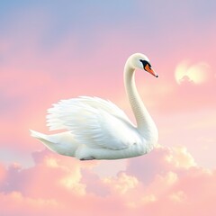 Fototapeta premium Swan's Majestic Flight Against a Pastel Canvas