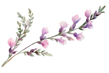 Obraz premium Elegant watercolor illustration of a delicate branch with pink and purple flowers and soft green leaves on a white background
