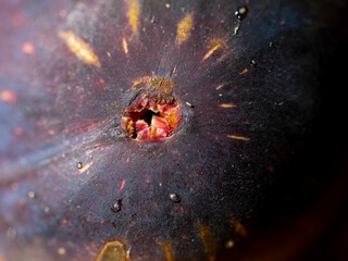 Texture of a fig, a sweet fruit, typical of summer in the Mediterranean area