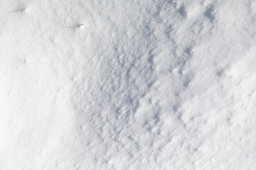 Background Texture of powdery snow, pristine white, intact, in the morning light after a heavy snowfall