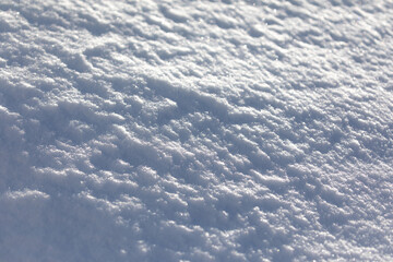 Background Texture of powdery snow, pristine white, intact, in the morning light after a heavy snowfall