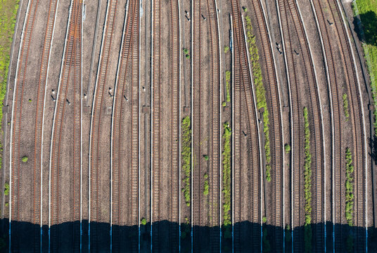 Aerial View of Multiple Railway Tracks with Greenery