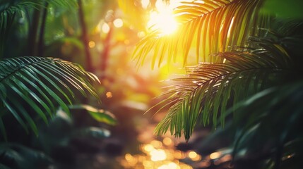 Tropical Wildlife Watching in a Lush Environment