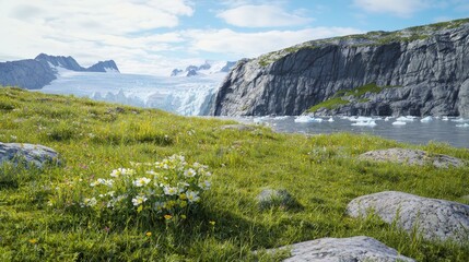 Grassy Outcrop and Scenic Glacier with Rocks and Flowers