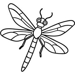 dragonfly insect vector art line isolated doodle illustration