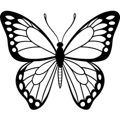 butterfly vector illustration
