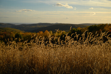 Golden hour in the mountain