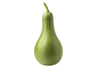 Ash gourd side view full length Isolated on Transparent or White Background.