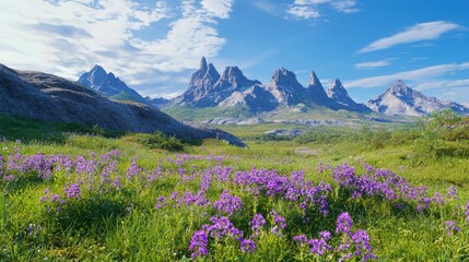 Sharp Granite Spires Rising Amidst Vibrant Wildflower Landscape