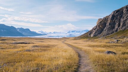 Winding Path Through the Arctic Landscape Surrounded by Mountains
