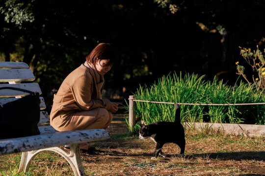 A Warm Autumn Encounter.
