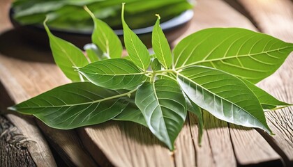 Obraz premium Green leaf herb on the wood background