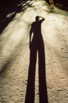 Shadow Silhouette on Path