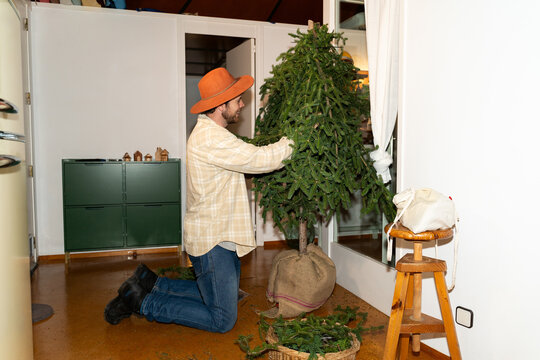 etting Up Christmas Tree Happy