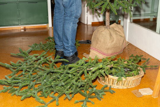 Setting Up Christmas Tree