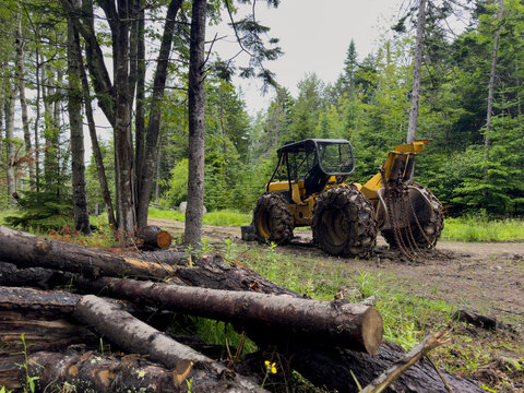 Logging road in rural Maine with Skidder vehicle 