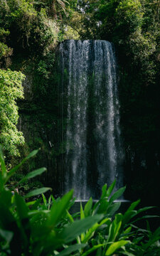 Milla Milla falls - Cairns