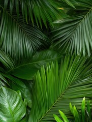 Lush green tropical leaves background