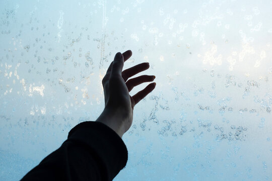 Icy iced cold freeze frost flower winter window and hand touching it